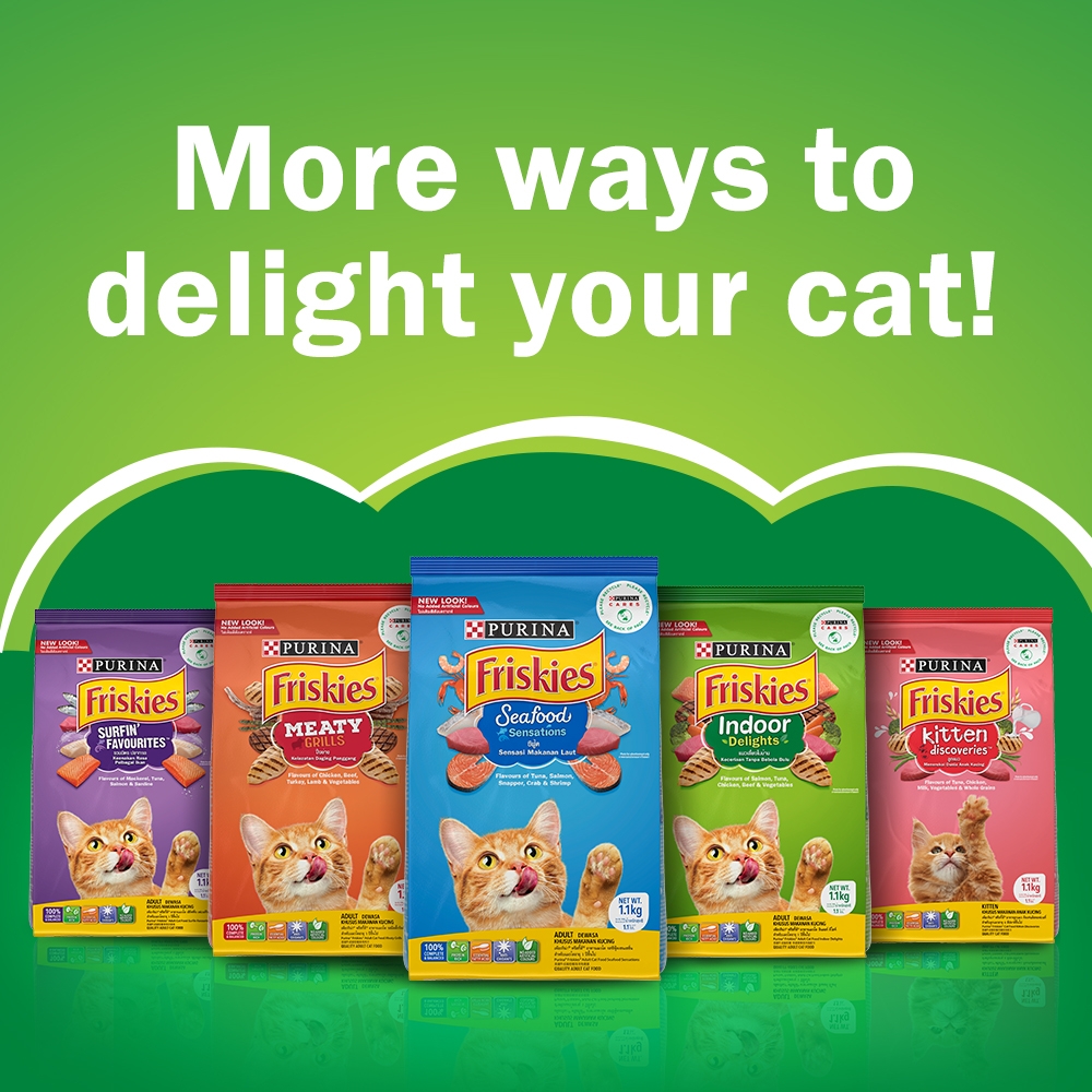 Friskies sales indoor delights